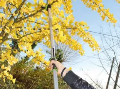 Coupe-branches De Taille Manuel Verdemax - Perche Fixe 150 Cm - Ø 25 Mm 18 Coupe-branches De Taille Manuel Verdemax - Perche Fixe 150 Cm - Ø 25 Mm -Outils D'Élagage De Jardin coupe branches de taille manuel verdemax perche fixe 150 cm 25 mm coupe branches manuel verdemax sur perche fixe 29766 1 1623248006 IMG 60c0cc86792b3