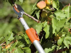 Coupe-branches De Taille Stocker Art. 510 Télescopique 180-300 Cm - à Enclume - Orientable -Outils D'Élagage De Jardin coupe branches de taille stocker art 510 tlescopique 180 300 cm enclume orientable scateur enclume sur perche tlescopique 180 300 cm stocker art 510 15433 0 1548237505 510 A 171209 1