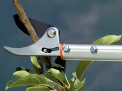 Coupe-branches Stocker Art. 505 Sur Perche Fixe De 200 Cm - Ø 10mm - Coupe Orientable -Outils D'Élagage De Jardin coupe branches stocker art 505 sur perche fixe de 200 cm 10mm coupe orientable coupe branches scateur sur perche orientable 200 cm stocker art 505 15421 0 1548229705 zz