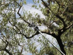 Coupe-branches Télescopique Professionnel Archman Helium MT.2 - Perche 170/270 Cm - Ø 35 Mm -Outils D'Élagage De Jardin coupe branches tlescopique professionnel archman helium mt 2 perche 170 270 cm 35 mm coupe branches sur perche archman 10126 0 1487755710 Helium 06