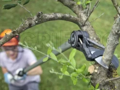 Coupe-branches Télescopique Professionnel Archman Helium MT.2 - Perche 170/270 Cm - Ø 35 Mm -Outils D'Élagage De Jardin coupe branches tlescopique professionnel archman helium mt 2 perche 170 270 cm 35 mm tte de coupe inclinable en nylon charg en fibre de carbone 10126 1 1487755937 Helium 03