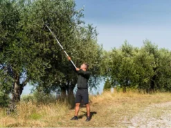 Coupe-branches Télescopique Professionnel Stocker Art. 606 - Perche 170/280 Cm - Ø 35mm -Outils D'Élagage De Jardin coupe branches tlescopique professionnel stocker art 606 perche 170 280 cm 35mm coupe branches scateur sur perche tlescopique stocker 606 15370 0 1547736570 ff