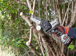 Élagueuse Manuelle électrique à Batterie Ausonia Nativa Saw - 3 Batteries De 24V 2.5Ah - Capacité De Coupe 100mm