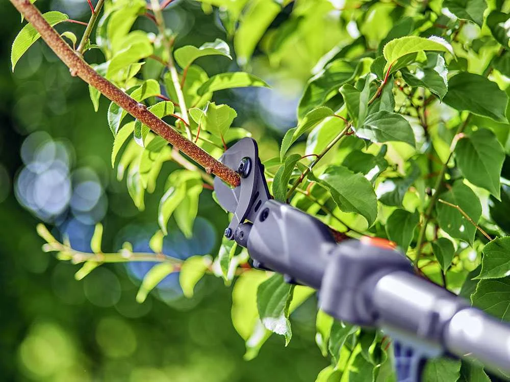 Gardena HighCut 250/18V P4A - Sécateur électrique D'élagage Sur Perche - 18V 2ah 18 Gardena HighCut 250/18V P4A - Sécateur électrique D'élagage Sur Perche - 18V 2ah – Image 18