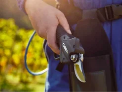 Kit Sécateur électrique COBRA PRO Campagnola Sans Batterie Avec Adaptateur Pour Batterie Li-Lion 170