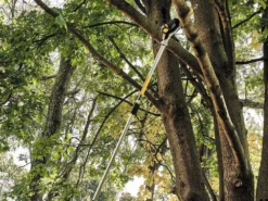 Élagueuse à Batterie à Rallonge électrique DeWalt DCMPS567P1-QW - 18V - 5AH -Outils D'Élagage De Jardin lagueuse batterie rallonge lectrique dewalt dcmps567p1 qw 18v 5ah perche lagueuse lectrique dewalt dcmps567p1 qw 28932 9 1620640513 IMG 60990301d4997