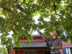 Élagueuse Sur Perche Télescopique à Batterie Multifonction Alpina AMT 20 Li - Batterie 20V 4Ah -Outils D'Élagage De Jardin lagueuse sur perche tlescopique batterie multifonction alpina amt 20 li batterie 20v 4ah elagueuse tlescopique batterie alpina amt 20 li kit 26886 5 1611761927 IMG 601189072c685