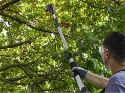 Élagueuse Sur Perche Télescopique à Batterie Multifonction Alpina AMT 20 Li - Batterie 20V 4Ah -Outils D'Élagage De Jardin lagueuse sur perche tlescopique batterie multifonction alpina amt 20 li batterie 20v 4ah elagueuse tlescopique batterie alpina amt 20 li kit 26886 5 1611761927 IMG 6011890762a37