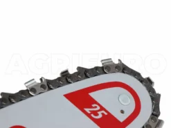 Élagueuse Zanon Rino - SANS BATTERIE -Outils D'Élagage De Jardin lagueuse zanon rino sans batterie barre de 8 avec chane de 1 4 25762 3 1606837211 IMG 5fc663db5994c