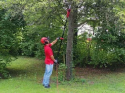 Perche élagueuse 750W Einhell GC-EC 750 T Avec Perche Télescopique En Fibre De Verre