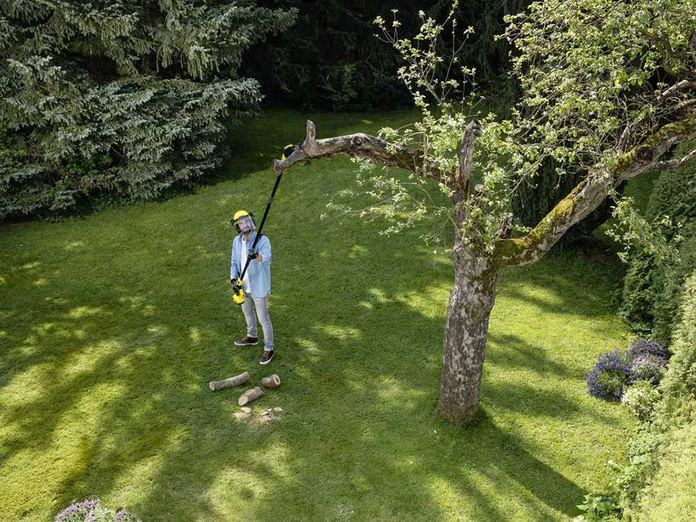 Perche élagueuse à Batterie Avec Rallonge Karcher PSW 18-20 - MACHINE SEULE - BATTERIE ET CHARGEUR DE BATTERIE NON INCLUS! 20 Perche élagueuse à Batterie Avec Rallonge Karcher PSW 18-20 - MACHINE SEULE - BATTERIE ET CHARGEUR DE BATTERIE NON INCLUS! – Image 20