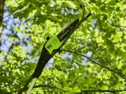Perche élagueuse à Batterie Greenworks GD60PS25 60V - Batterie 2 Ah -Outils D'Élagage De Jardin perche lagueuse batterie greenworks gd60ps25 60v batterie 2 ah tte inclinable avec barre de 25 cm 36291 1 1661249836 IMG 6304a92c6f83f