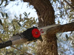 Perche élagueuse Fixe à Batterie De 183 Cm Infaco TR9 - Batterie à Dos Incluse -Outils D'Élagage De Jardin perche lagueuse fixe batterie de 183 cm infaco tr9 batterie dos incluse barre de 10 avec chane de 1 4 38114 15 1666363440 IMG 6352b03061e6a