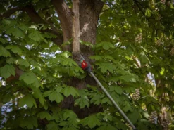 Perche élagueuse Télescopique à Batterie HENX H36GZ12040 - 40V - SANS CHARGEUR NI BATTERIE -Outils D'Élagage De Jardin perche lagueuse tlescopique batterie henx h36gz12040 40v sans chargeur ni batterie lagueuse henx h36gz12040 27530 5 1615477714 IMG 604a3bd22481f