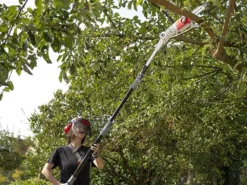 Perche élagueuse Télescopique à Batterie IKRA ICPS 2020 -Outils D'Élagage De Jardin perche lagueuse tlescopique batterie ikra icps 2020 perche lagueuse batterie ikra ikra icps 2020 27865 1 1617093983 IMG 6062e55f58ea1