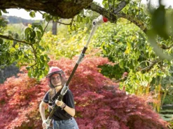 Perche élagueuse Télescopique à Batterie IKRA ICPS 2020 -Outils D'Élagage De Jardin perche lagueuse tlescopique batterie ikra icps 2020 perche lagueuse batterie ikra ikra icps 2020 27865 1 1617093983 IMG 6062e55f65511