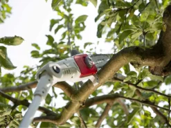 Perche élagueuse Télescopique à Batterie IKRA ICPS 2020