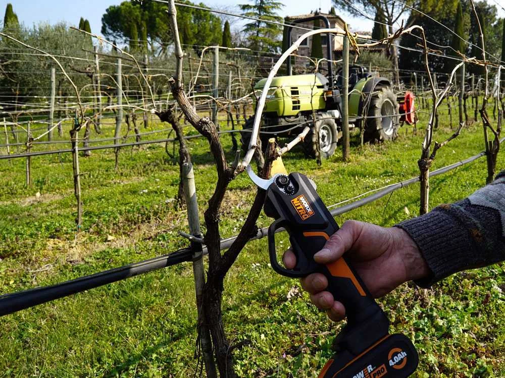 PROMO AUTOMNE Sécateur De Taille à Batterie Worx WG330E 20V + Batterie De 20 V - 2.0 Ah Extra 2 PROMO AUTOMNE Sécateur De Taille à Batterie Worx WG330E 20V + Batterie De 20 V - 2.0 Ah Extra – Image 2