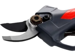 Sécateur électrique D'élagage Ausonia Nativa Small -Outils D'Élagage De Jardin scateur lectrique d lagage ausonia nativa small points forts et donnes techniques 22102 2 1581349584 IMG 3879