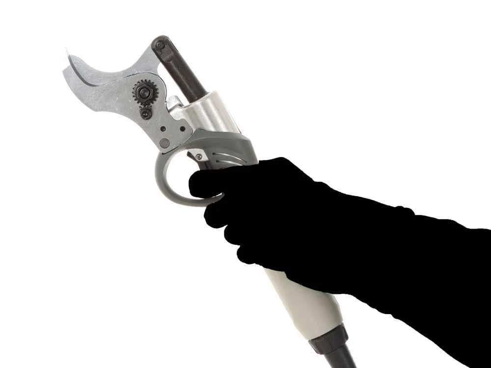 Sécateur électrique De Taille BlackStone B-PS 45 - 1 Batterie 4 Ah 36 V 2 Sécateur électrique De Taille BlackStone B-PS 45 - 1 Batterie 4 Ah 36 V – Image 2