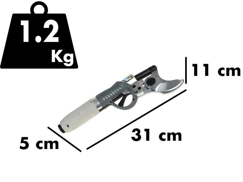 Sécateur électrique De Taille BlackStone B-PS 45 - 1 Batterie 4 Ah 36 V 1 Sécateur électrique De Taille BlackStone B-PS 45 - 1 Batterie 4 Ah 36 V