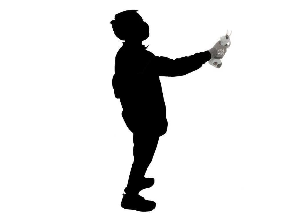 Sécateur électrique De Taille Blackstone BPS-30 - 2 Batteries 2.6 Ah 16.8 V 2 Sécateur électrique De Taille Blackstone BPS-30 - 2 Batteries 2.6 Ah 16.8 V – Image 2