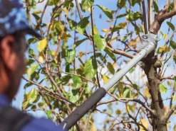 Sécateur électrique De Taille Easy 80 Campagnola - SANS BATTERIE -Outils D'Élagage De Jardin scateur lectrique de taille easy 80 campagnola sans batterie points forts 25397 2 1601555594 IMG 5f75cc8a48d4f