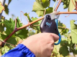 Sécateur électrique De Taille Easy S Campagnola - SANS BATTERIE -Outils D'Élagage De Jardin scateur lectrique de taille easy s campagnola sans batterie points forts 25391 2 1601556567 IMG 5f75d0579f5ab