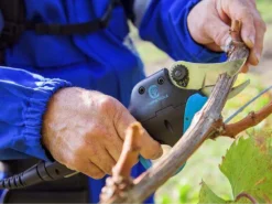 Sécateur électrique De Taille Easy S Campagnola - SANS BATTERIE