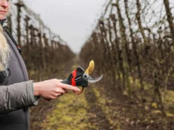 Sécateur électrique De Taille Infaco F3020 - Kit Standard Ø 40 Mm Pour Vergers Et Vignes -Outils D'Élagage De Jardin scateur lectrique de taille infaco f3020 kit standard 40 mm pour vergers et vignes points forts 36262 5 1660918359 IMG 62ff9a5797d4e