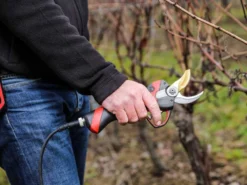 Sécateur électrique De Taille Infaco F3020M - 36V 3Ah - Ø 45 Mm -Outils D'Élagage De Jardin scateur lectrique de taille infaco f3020m 36v 3ah 45 mm points forts 38161 5 1666703641 IMG 6357e119c5c9b