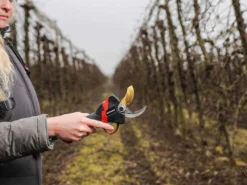 Sécateur électrique De Taille Infaco F3020M - 36V 3Ah - Ø 45 Mm -Outils D'Élagage De Jardin scateur lectrique de taille infaco f3020m 36v 3ah 45 mm points forts 38161 5 1666703641 IMG 6357e119caa7c