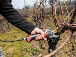 Sécateur électrique De Taille Infaco F3020M - 36V 3Ah - Ø 45 Mm -Outils D'Élagage De Jardin scateur lectrique de taille infaco f3020m 36v 3ah 45 mm scateur lectrique de taille infaco f3020m 38161 1 1666705435 IMG 6357e81b40f38