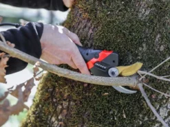 Sécateur électrique De Taille Infaco F3020M - 36V 3Ah - Ø 45 Mm -Outils D'Élagage De Jardin scateur lectrique de taille infaco f3020m 36v 3ah 45 mm scateur lectrique de taille infaco f3020m 38161 1 1666705435 IMG 6357e81b48e78