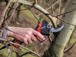 Sécateur électrique De Taille Infaco F3020M - 36V 3Ah - Ø 45 Mm -Outils D'Élagage De Jardin scateur lectrique de taille infaco f3020m 36v 3ah 45 mm scateur lectrique de taille infaco f3020m 38161 1 1666705435 IMG 6357e81b8bbe3