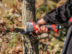 Sécateur électrique De Taille Infaco F3020M - 36V 3Ah - Ø 45 Mm -Outils D'Élagage De Jardin scateur lectrique de taille infaco f3020m 36v 3ah 45 mm scateur lectrique de taille infaco f3020m 38161 1 1666705435 IMG 6357e81bc6bf8