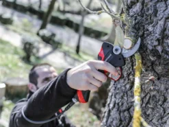 Sécateur électrique De Taille Infaco F3020M - 36V 3Ah - Ø 45 Mm -Outils D'Élagage De Jardin scateur lectrique de taille infaco f3020m 36v 3ah 45 mm scateur lectrique de taille infaco f3020m 38161 1 1666705436 IMG 6357e81c0e7a3