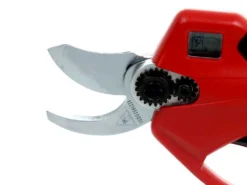 Sécateur électrique De Taille Sbaraglia Eduard A3042 32mm -Outils D'Élagage De Jardin scateur lectrique de taille sbaraglia eduard a3042 32mm scateur lectrique batterie eduard a3042 32mm batterie da 16 8v 22138 8 1581527744 IMG 4031