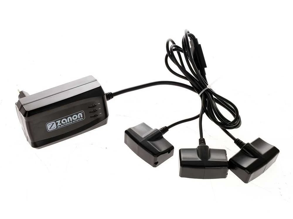 Sécateur électrique De Taille Zanon ZM 40 - Coupe 40 Mm - 2 Batteries De 2.5Ah/21V Max 18 Sécateur électrique De Taille Zanon ZM 40 - Coupe 40 Mm - 2 Batteries De 2.5Ah/21V Max – Image 18