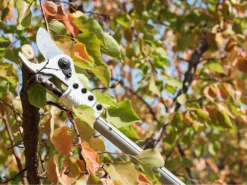 Sécateur électrique Easy 150 De Taille Campagnola - SANS BATTERIE -Outils D'Élagage De Jardin scateur lectrique easy 150 de taille campagnola sans batterie scateur lectrique campagnola easy 150 sans batterie 25398 2 1601555932 IMG 5f75cddc1f989