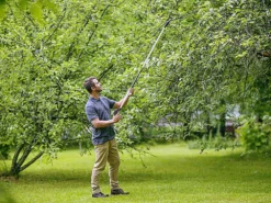 Sécateur Sur Perche Télescopique Orientable Fiskars Light UP69 - Ø 12 Mm