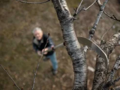 Scie De Jardin Stocker Corvo 430 TC Avec Perche Télescopique 195-310 Cm -Outils D'Élagage De Jardin scie de jardin stocker corvo 430 tc avec perche tlescopique 195 310 cm scie trempe 32636 3 1643011722 IMG 61ee5e8ae2d4f