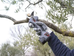 Sécateur à Batterie De Taille Ausonia Nativa Medium - 2 Batteries 16.8V - 2.5Ah Offertes -Outils D'Élagage De Jardin secateur a batterie de taille ausonia nativa medium 2 batteries 16 8v 2 5ah offertes points forts et donnees techniques 32438 2 1641306416 IMG 61d45930e6932