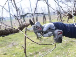 Sécateur à Batterie De Taille Ausonia Nativa Medium - 2 Batteries 16.8V - 2.5Ah Offertes