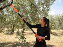 Stocker Magma E-140 TR - Sécateur électrique De Taille Sur Perche - 21.6V 2.6Ah -Outils D'Élagage De Jardin stocker magma e 140 tr scateur lectrique de taille sur perche 21 6v 2 6ah coupe branches stocker magma e 140 tr 41059 0 1681210617 IMG 64353cf9cbbfe