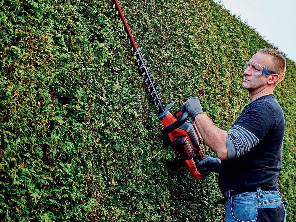 Tagille-haie à Batterie Einhell GE-CH 36/65 Li - 2x 18V 5.2Ah 1 Tagille-haie à Batterie Einhell GE-CH 36/65 Li - 2x 18V 5.2Ah