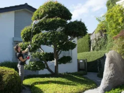 Taille-haie à Batterie Sur Perche Télescopique IKRA IATHS 40/43 - Batterie 40 V/2,5 Ah - Lame De 48 Cm 27 Taille-haie à Batterie Sur Perche Télescopique IKRA IATHS 40/43 - Batterie 40 V/2,5 Ah - Lame De 48 Cm -Outils D'Élagage De Jardin taille haie batterie sur perche tlescopique ikra iaths 40 43 batterie 40 v 2 5 ah lame de 48 cm la taille haie batterie ikra iaths 40 43 27959 10 1628237458 IMG 610cee928595d