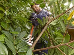 Taille-haie électrique Black & Decker BETHS301-QS De 500W Avec Lamier De 55 Cm 22 Taille-haie électrique Black & Decker BETHS301-QS De 500W Avec Lamier De 55 Cm -Outils D'Élagage De Jardin taille haie lectrique black decker beths301 qs de 500w avec lamier de 55 cm taille haie lectrique black decker beths301 qs 17323 13 1649759232 IMG 62555400d282f