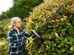 Taille-haies à Batterie RYOBI RHT36C61R40F - 36V - 4Ah - Lamier De 60cm -Outils D'Élagage De Jardin taille haies batterie ryobi rht36c61r40f 36v 4ah lamier de 60cm lamier et poigne 30087 2 1624951697 IMG 60dacb917fc67