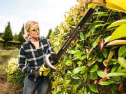 Taille-haies à Batterie RYOBI RHT36C61R40F - 36V - 4Ah - Lamier De 60cm